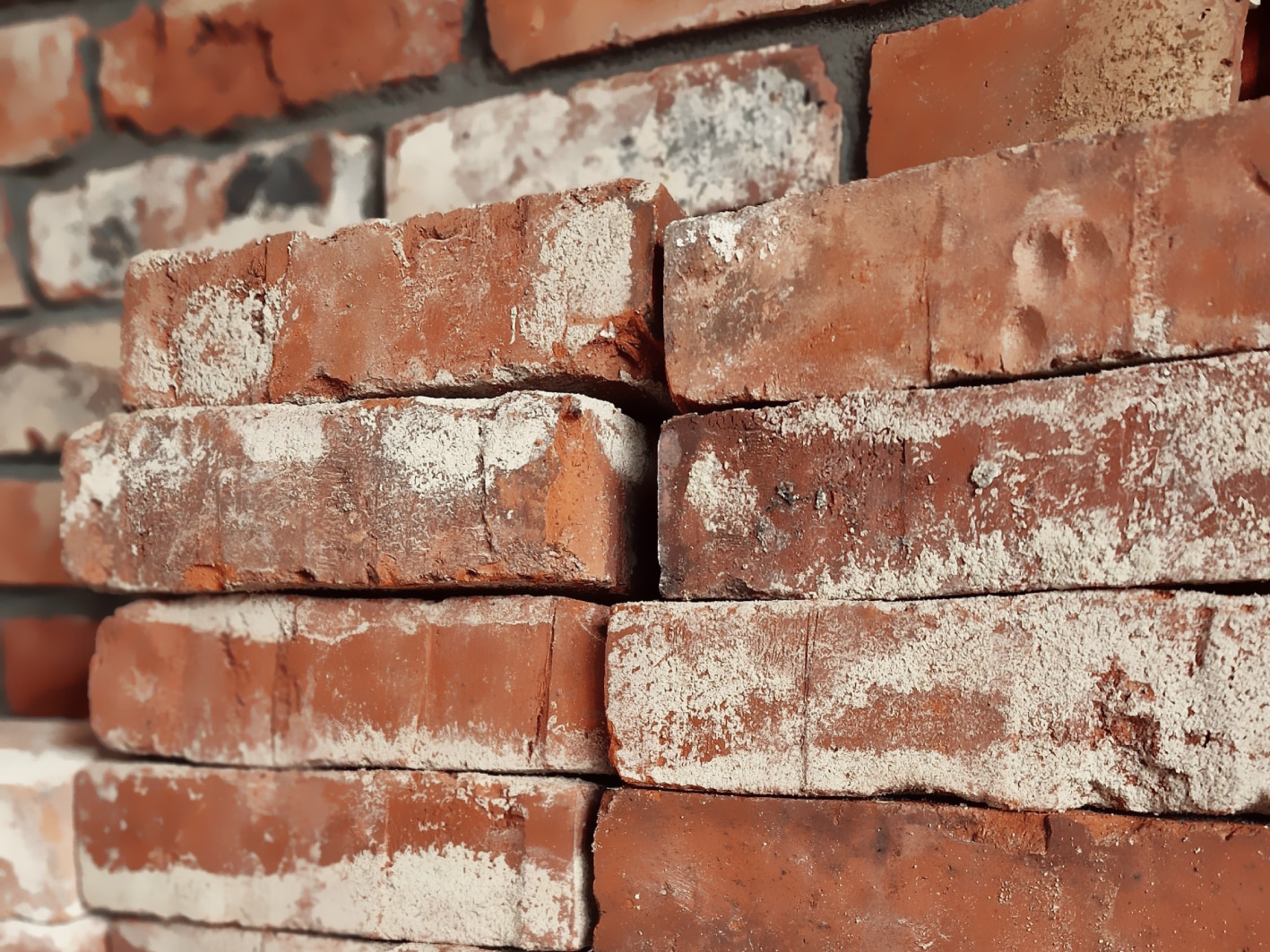 cegła_płytki_ceglane_lofmanufaktura_lico_staropolskie_marcin_kuczara ekspozycja-z-cegłami-na-żywo-w-loftmanufaktura