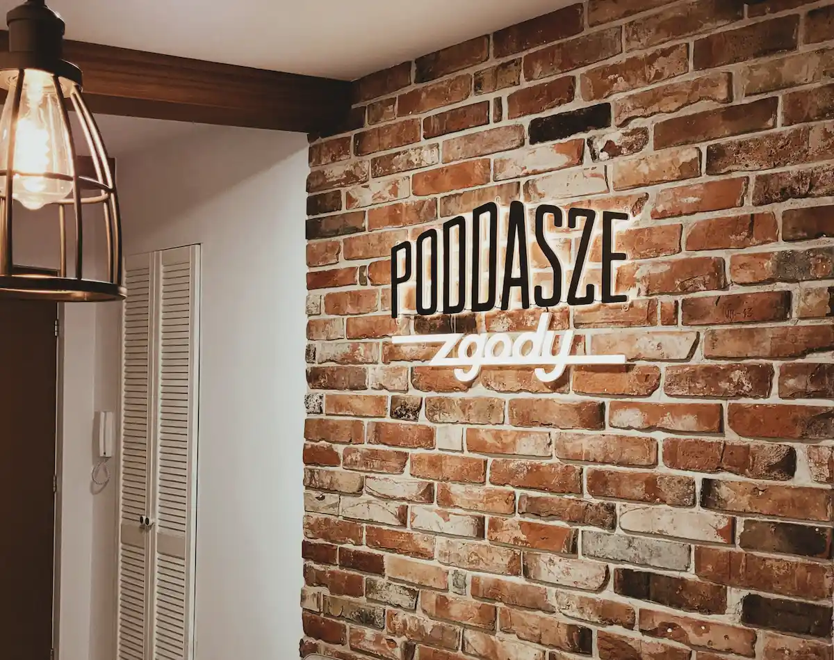 płytki z cegły na ścianie